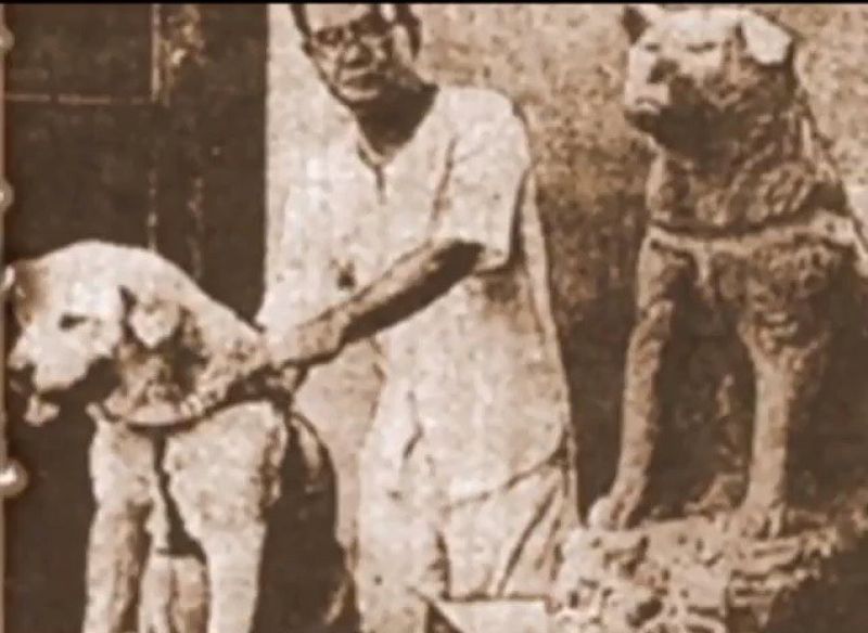 hachiko đã tham dự buổi khánh thành tượng của chính mình hachiko đã tham dự buổi khánh thành tượng của chính mình